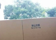 工作人员回应公园设露天厕所,应对如厕难题，人性化措施引关注”