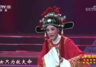 黄梅戏女驸马谁料皇榜中状元,传奇爱情与忠诚诚实的颂歌