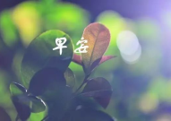 早安心语图片,早安心语图片启示录