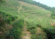 一亩等于多少平米,深度解析土地面积单位换算