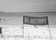 海南3名游客溺水,三名游客不幸溺水，安全警钟再次敲响