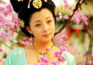 杨玉环电视剧,传奇人生与宫廷爱恨