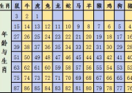 2022年是什么生肖年份,虎年运势解析与生肖特点