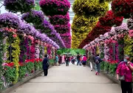 上海 鲜花,花漾都市，浪漫鲜花绽放之地