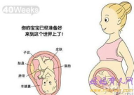 怀孕8个月胎儿b超图,发育细节与性别揭秘