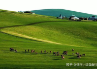 呼伦贝尔草原旅游攻略,夏秋之美、民俗风情与自然奇观的深度体验