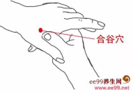 合谷的准确位置图片,精准定位与神奇功效揭秘