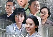 返城年代电视剧全集,再现改革开放时期知青返城生活的奋斗与变迁