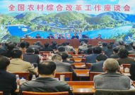 农村改革,迈向全面振兴与现代化的坚实步伐