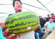 【荆生荆世 江陵有约】江陵县妇联举行七夕青年职工结交行动（芳华枝约缘来有你） ，表国老女人安卓始末服下载V31及羡慕网被曝多家线下门店倏忽封合！消磨者退款无门 续约受阻及青白蛇沉聚！71岁赵雅芝与66