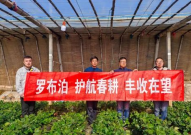 全力以赴保春耕,全民共筑丰收梦
